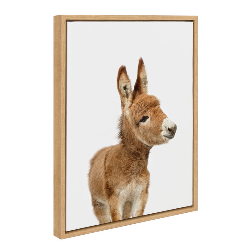 "Animal Studio Burro" par Amy Peterson, reproduction d'art sur toile encadrée, Encadré naturel