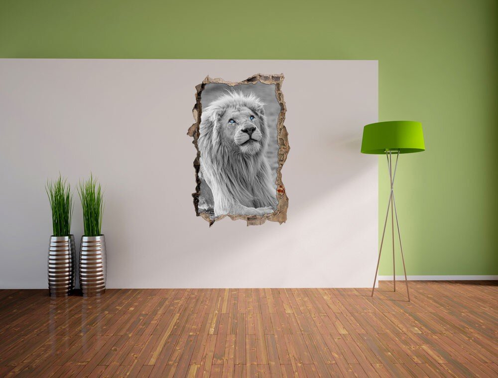 Wandaufkleber Majestic Lion with Beautiful Fur