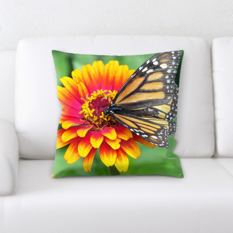 Coussin monarch