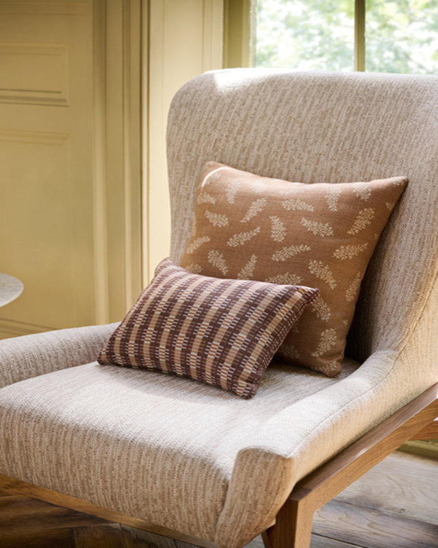 Accent Pillows Image