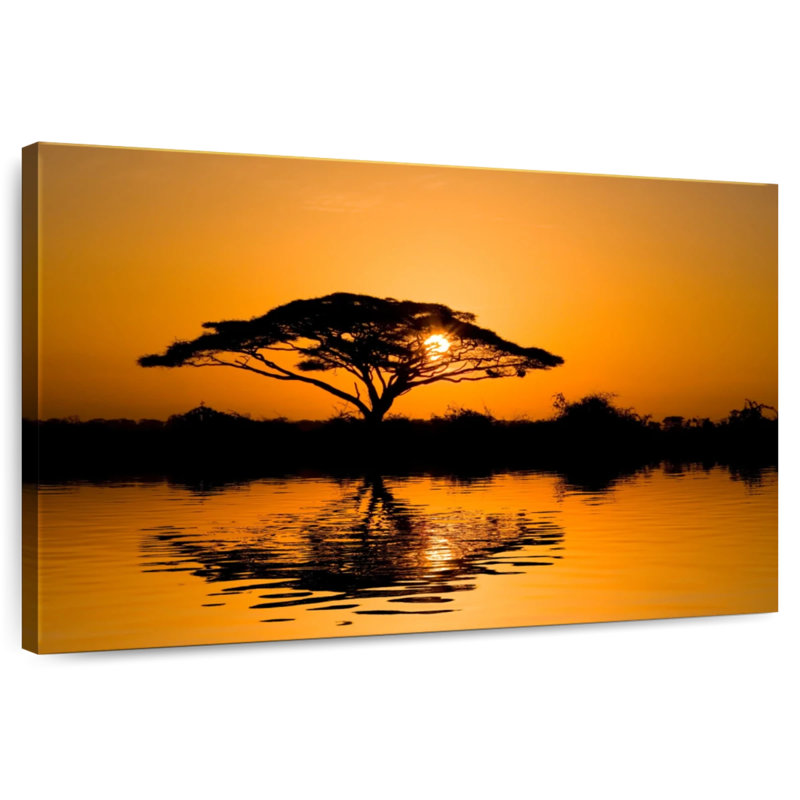 Acacia Harnek Amboseli