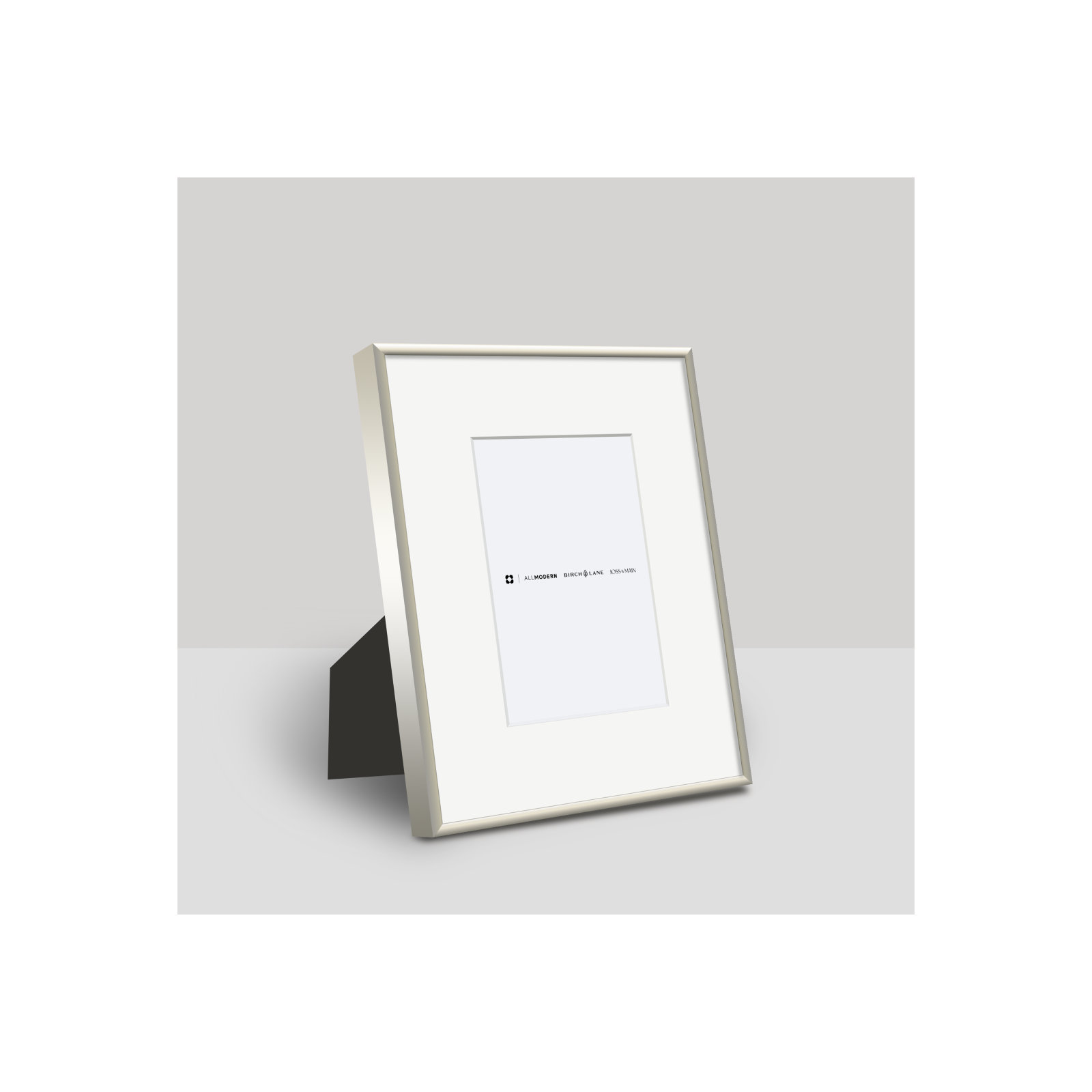 Feronia Metal Picture Frame with Mat, 4" x 6", Silver