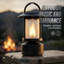 Renard flamme-120295459