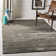 Mcelroy Hand-Knotted Area Rug in Graphite
