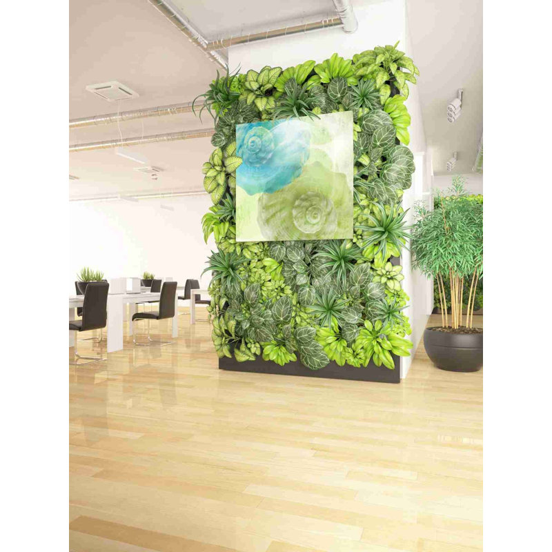 «Luminous Seashells 3» par Elena Ray, art mural sur toile, H 37 po x l 37 po x P 1,5 po
