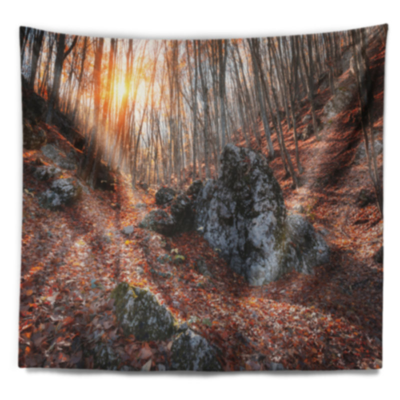 Tapisserie Rocky Red Autumn Forest, H 32 po x l 39 po