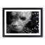 Seal Portrait in Abstract - Picture Frame Graphic Art Print-55762136-55762138