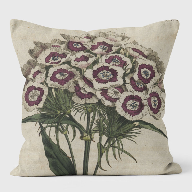 Sweet William - Botanical Cushion