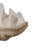 Clemetine Shell Figurine / Sculpture Decorative Object