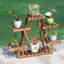 Olana Wood Plant Stand