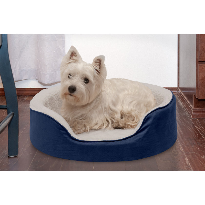 Lit pour chien ovale en faux sherpa et suède, Moyen (l 23 po x P 18 po x H 5,5 po), Gris