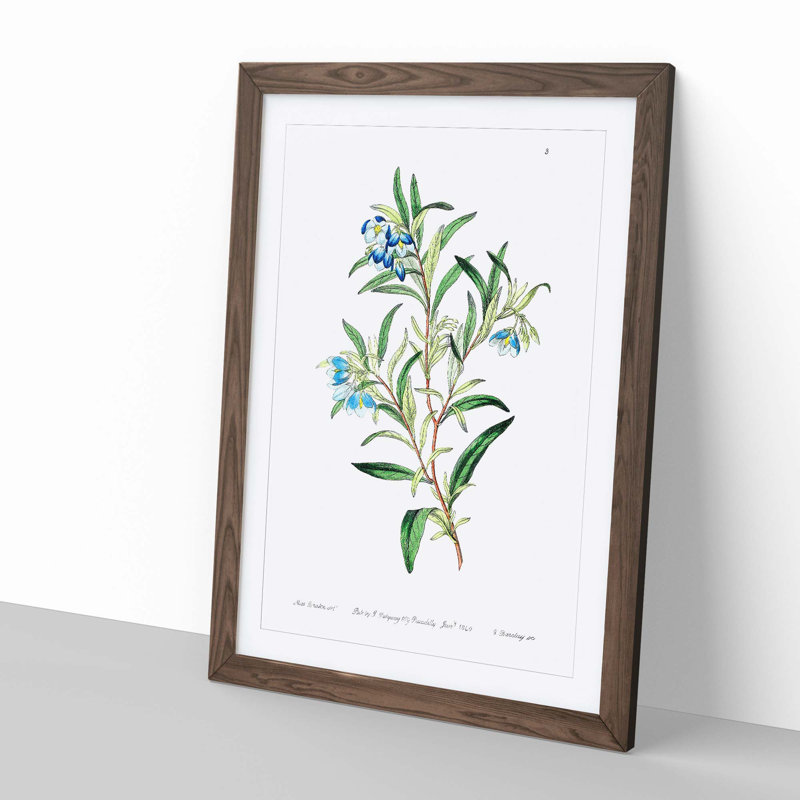 Bluebell Flowers - Framed Print, 60cm H x 40cm W x 2cm D, Walnut