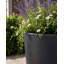 Ashley Round Egg Planter, Concrete Effect, Indoor and Outdoor Round Plant Pot with Drainage Hole-599791372-599791369