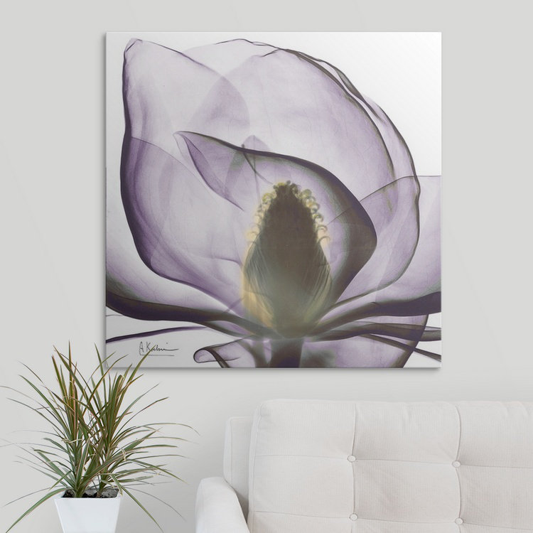 "Manigault" Magnolia X-Ray par Kiranjit, reproduction de photo, H 20 po x l 20 po x P 1,5 po, Toile