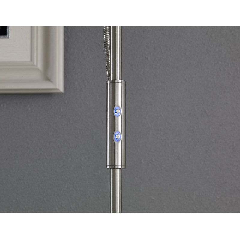 Lumineux 71'' Satin Nickel LED Novelty Floor Lamp