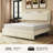 
Gerasim Bed Frame with Two Storage Drawers & LED Headboard Acrylic Mirrored,Velvet Upholstered Platform Bed-2123045527-2123045525