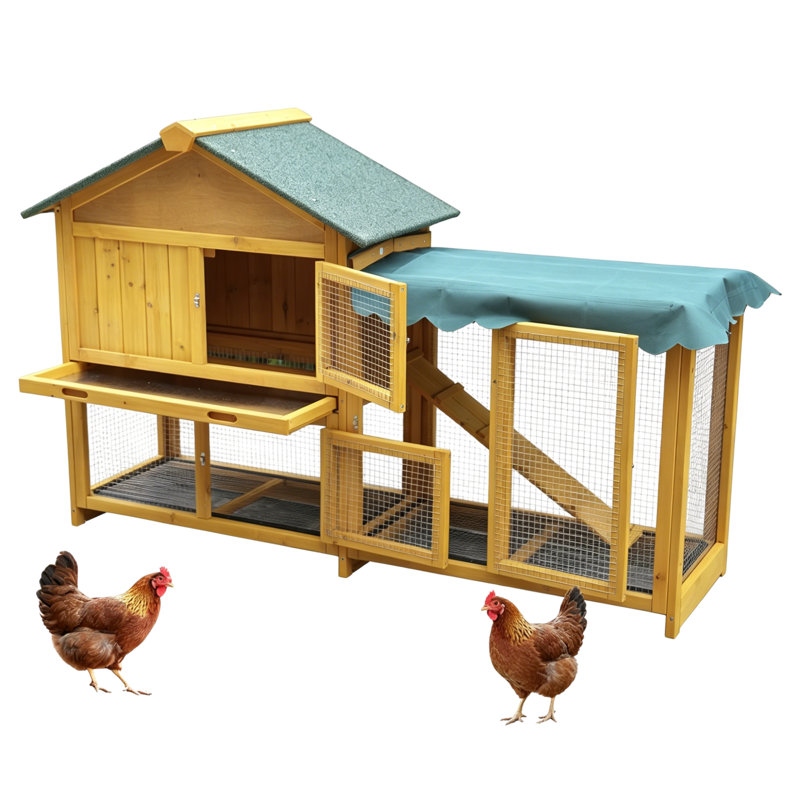 Poulailler en bois 60 po avec couloir, plateau amovible, grillage inférieur et toit imperméable