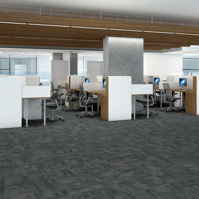 Castilla 24-in x 24-in Multi-Level Loop Adhesive Carpet Tile (80-sq ft), Noble