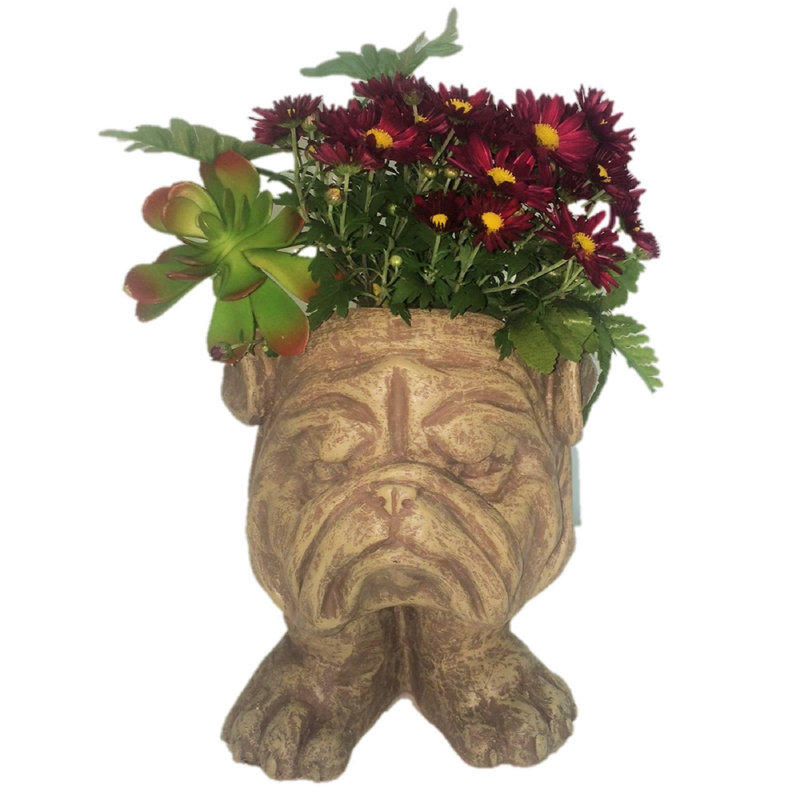 Muggly's Bulldog Mascot Animal Statue Planter, Stone Wash
