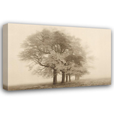 Harmony in Fog IMA-S778