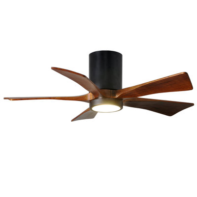 Irene Ceiling Fan with LED Light Kit