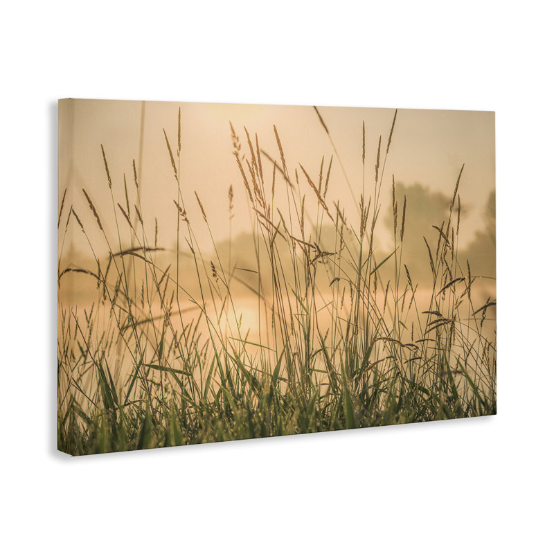 «Grassy Country Reeds», art mural sur toile par Marty Hulsebos, H 20 po x l 30 po