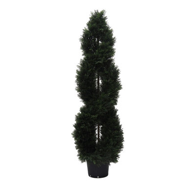 Boxwood Double Spiral Everyday Topiary