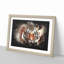 Tiger - Framed Print-56863954-56863956