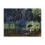 «Summer Loon» par Etelca, impression sur toile tendue-27650330