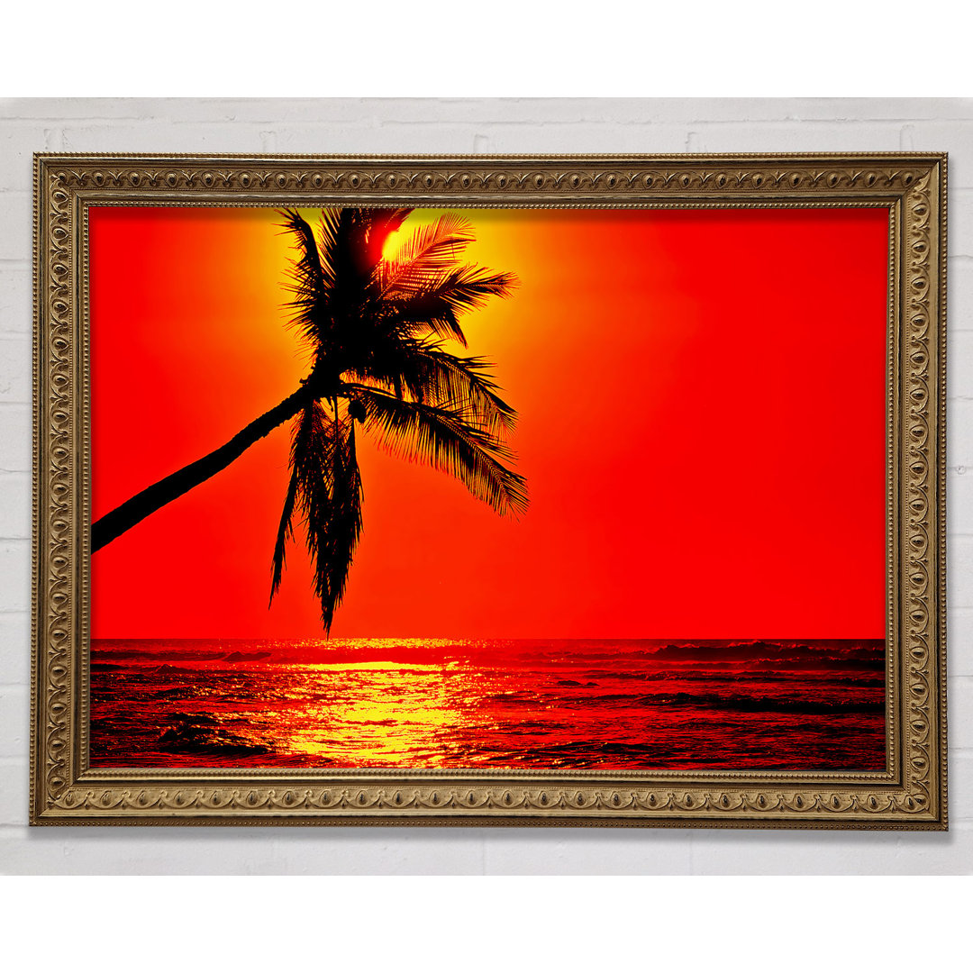 Palmtree Sunblaze - Druck