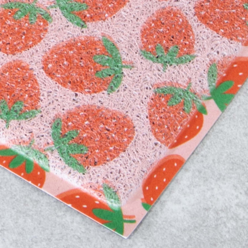 Kamdyn Non-Slip Indoor Doormat