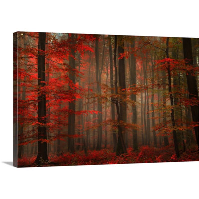 " Enchanting Red " by Philippe Sainte-Laudy