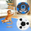Jouets interactifs pour chien-119921552