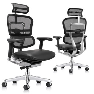 Ergohuman Executive Chair with Headrest