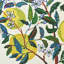 Coussin de jardin d'agrumes-59769480-24508073