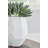 Caythan Vase-100334757