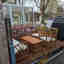 Photos des clients 1 de 1