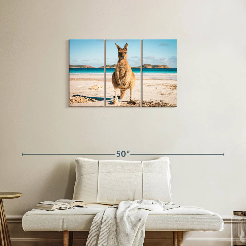 Kangourou Lucky Bay, 20" H x 33" W