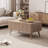Mid Century Modern Lift Top Coffee Table With Storage,multi-functional Center Table For Living Room-164840020