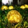 Solar Powered Integrated LED Glass Pathway Light