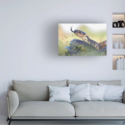 Art sur toile, bolognaise, bol Tristan Vratil