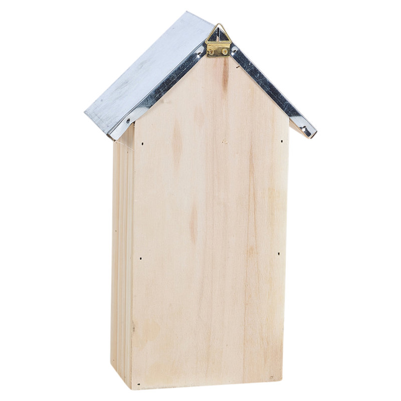 Amberboi Mounted Insect House
