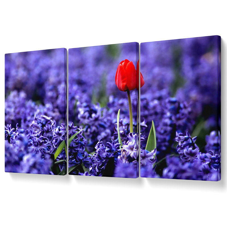 Red Tulip And Hyacinths - 3 Piece Wrapped Canvas Print