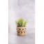 KitchenCraft Water Hyacinth Planters, Striped