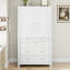 Accent Cabinet-1023280432