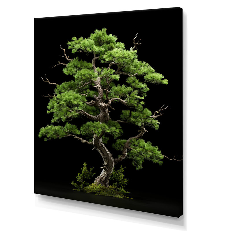 "Pine pureté dans la forêt I", reproduction d'art sur toile, Toile tendue, H 32 po x l 24 po