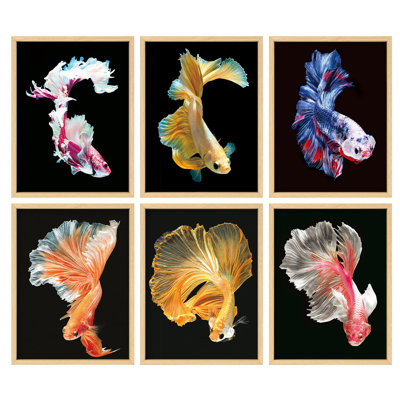 Art mural encadré, ensemble de galerie d'art collage, contraste élevé, néon, poisson, Amphibiens, animaux, photographie, réalisme, nautique, coloré, ultra pour le salon, la chambre à coucher, le bureau