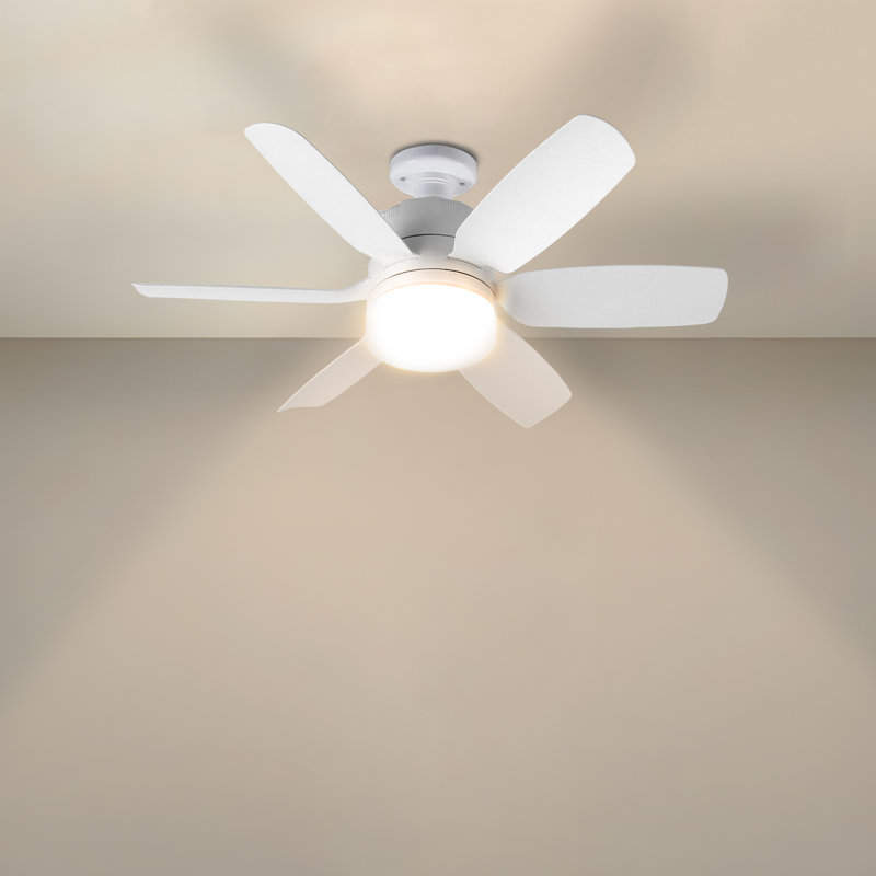 Fans Lights With Remote, 6 Speed 3 Color Fan Lights In Summer With Extender