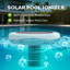 Ioniseur de piscine à énergie solaire Winado avec tiges de cuivre surdimensionnées pour toutes les piscines