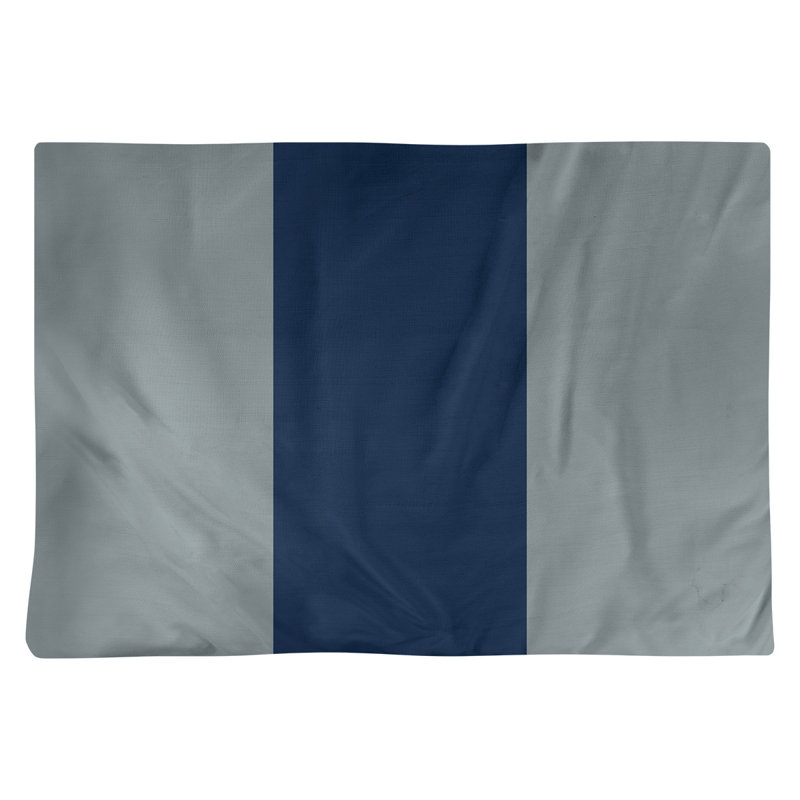 Récapitulatif 18" à rayures de football Dallas, Argenté / Bleu clair